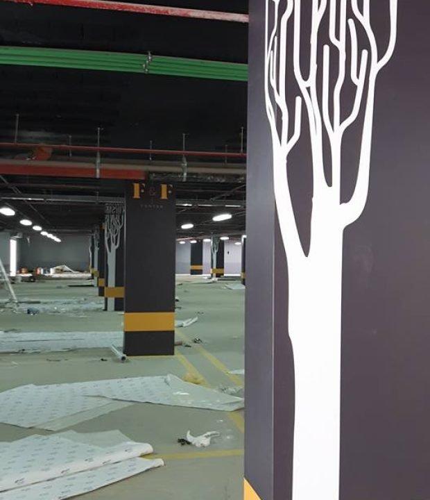 13178775_762303297239166_2820832081215340920_n